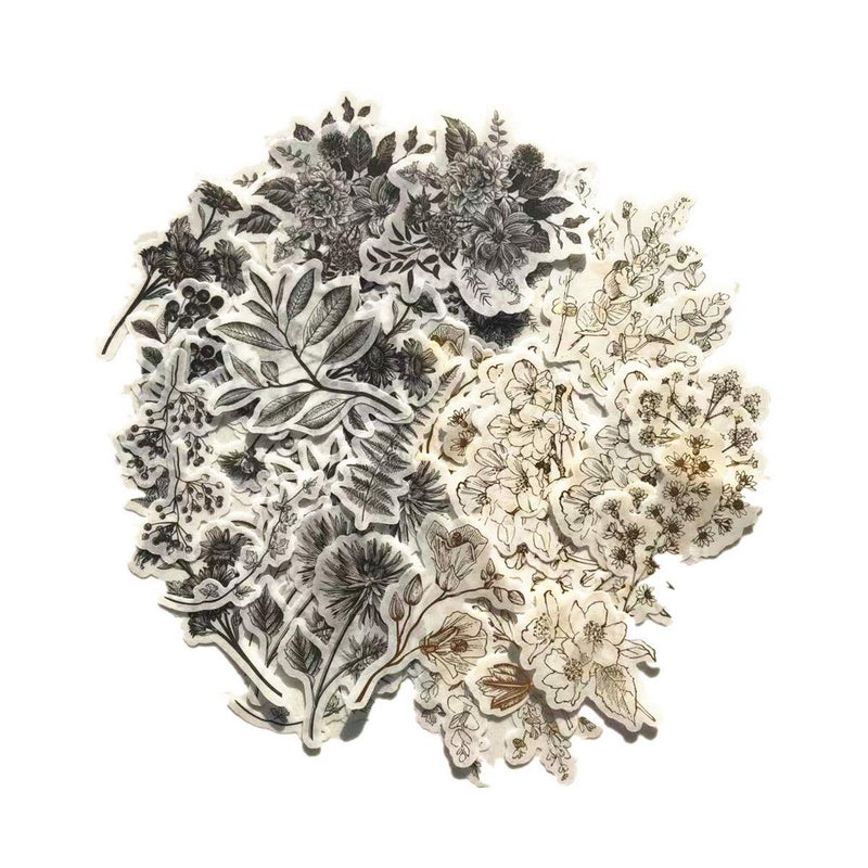 DESEACO Vintage Zen Botany Flower Washi Sticker Pack, Artsy Natural Black-and-White Plants with Golden Sketch Decals Collection, Wild Plants Gray and Gold Set â€“ 120 Pcs - Image 1